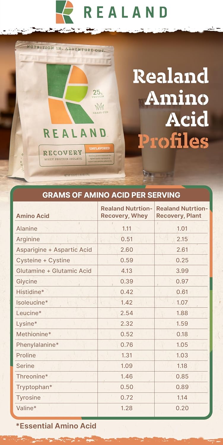 Realand Nutrition- Recovery Plant Protein in Chocolate